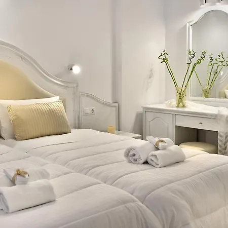 호텔 나조스 Mykonos Town